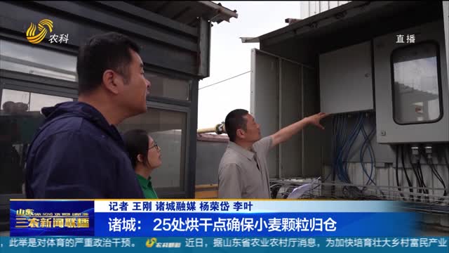 【直通丰收一线】诸城：25处烘干点确保小麦颗粒归仓