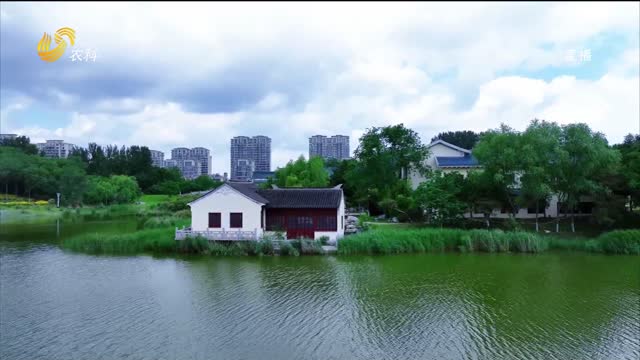 东营：明潭碧水映夏浓