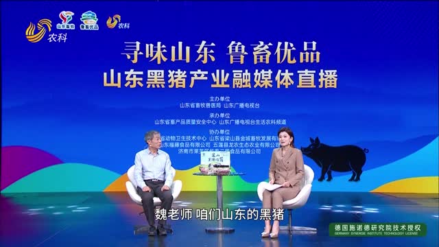 【寻味山东 鲁畜优品】全产业链融合发展的山东黑猪产业