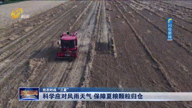 【抢农时战“三夏”】科学应对风雨天气 保障夏粮颗粒归仓
