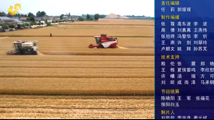 在希望的田野上
