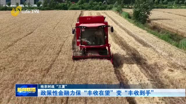 政策性金融力保“丰收在望”变“丰收到手”【抢农时战“三夏”】