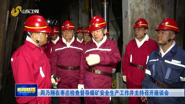 周乃翔在枣庄检查督导煤矿安全生产工作并主持召开座谈会