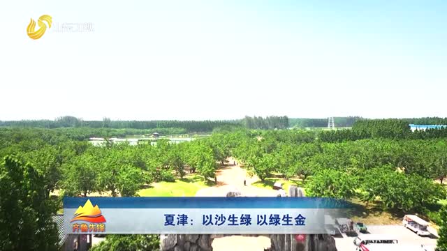 20260610《齐鲁先锋》：夏津——以沙生绿 以绿生金