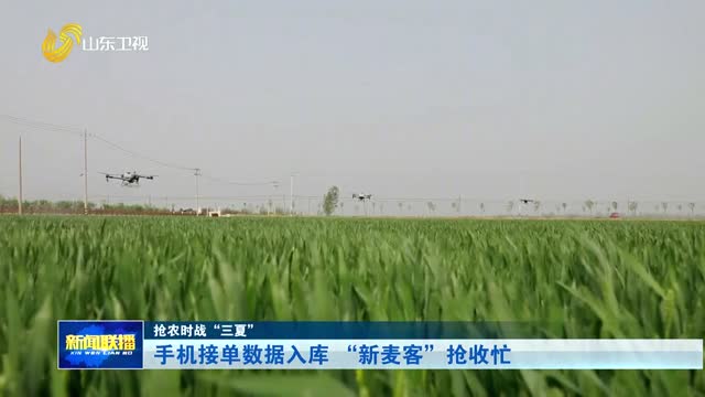 手机接单数据入库 “新麦客”抢收忙【抢农时战“三夏”】