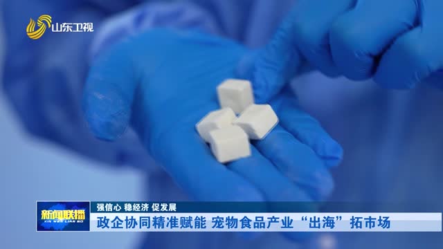 政企协同精准赋能 宠物食品产业“出海”拓市场【强信心 稳经济 促发展】