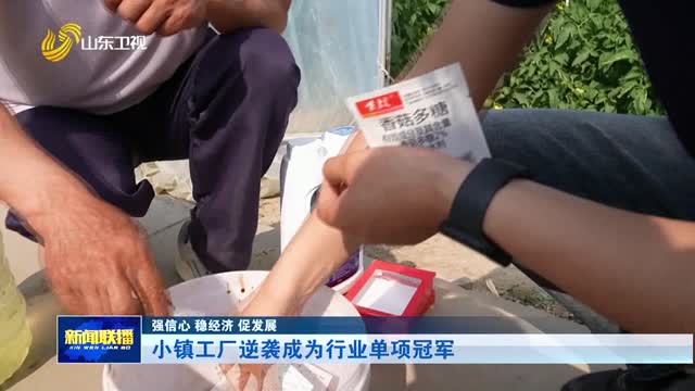 小镇工厂逆袭成为行业单项冠军【强信心 稳经济 促发展】