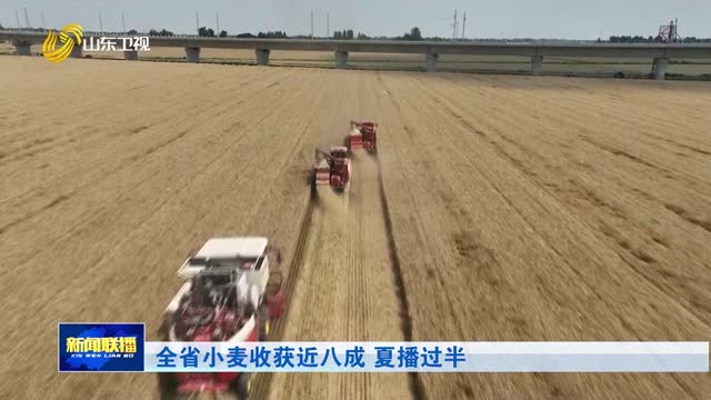 全省小麦收获近八成 夏播过半