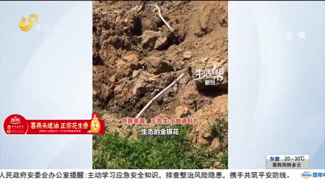 【帮办出马】农用地被埋上垃圾？承包方：垃圾以前就有 我也是受害者
