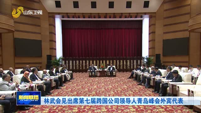 林武会见出席第七届跨国公司领导人青岛峰会外宾代表