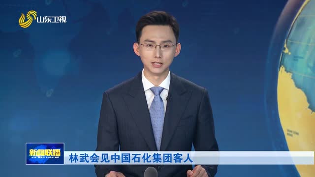 林武会见中国石化集团客人