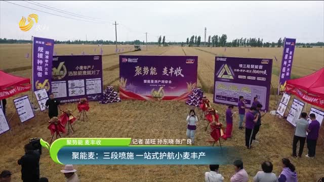 【聚势能 麦丰收】聚能麦：三段喷施 一站式护航小麦丰产