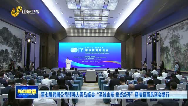 第七届跨国公司领导人青岛峰会“至诚山东 投资经开”精准招商恳谈会举行