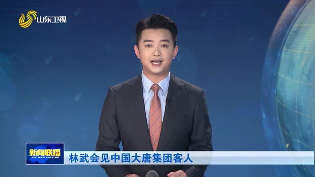 林武会见中国大唐集团客人