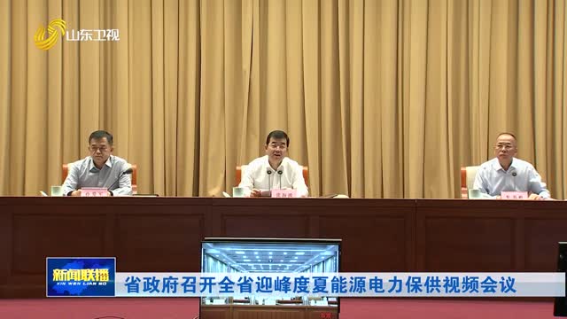 省政府召开全省迎峰度夏能源电力保供视频会议
