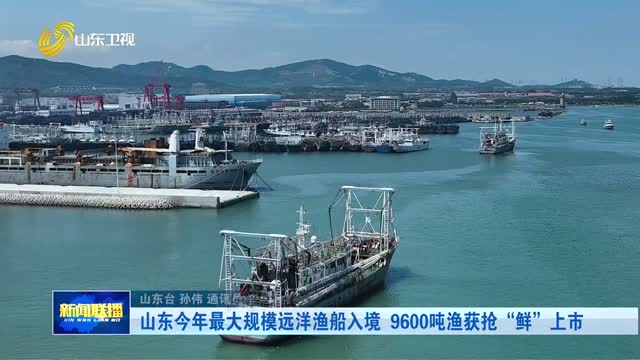 山东今年最大规模远洋渔船入境 9600吨渔获抢“鲜”上市