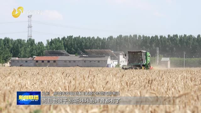 汶阳田种地“老把式”用上智能机器人【晚播小麦丰收记】