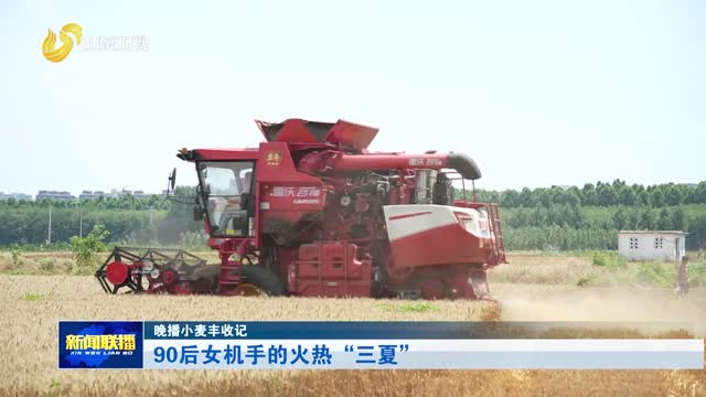 90后女机手的火热“三夏”【晚播小麦丰收记】