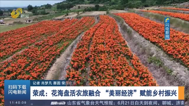 【发现宝藏山东】荣成：花海盘活农旅融合 “美丽经济”赋能乡村振兴