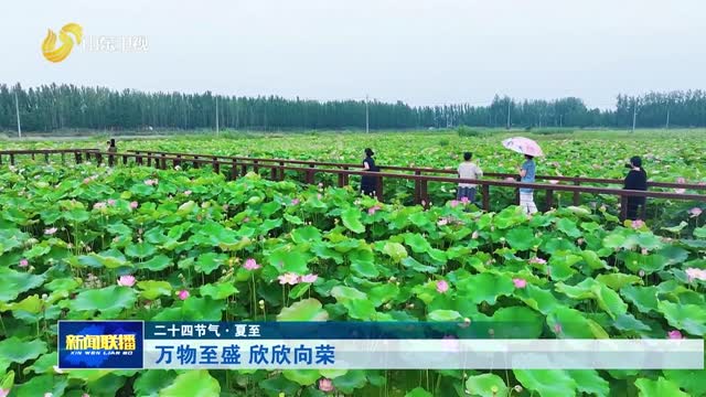 万物至盛 欣欣向荣【二十四节气·夏至】