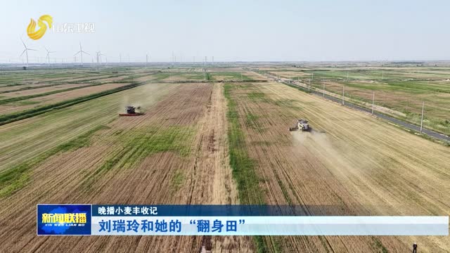 刘瑞玲和她的“翻身田”【晚播小麦丰收记】
