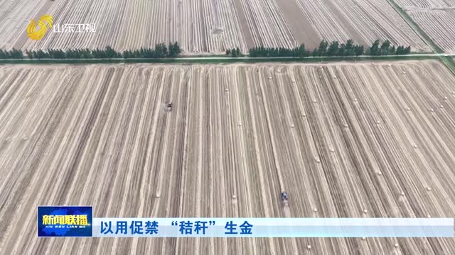 以用促禁 “秸秆”生金
