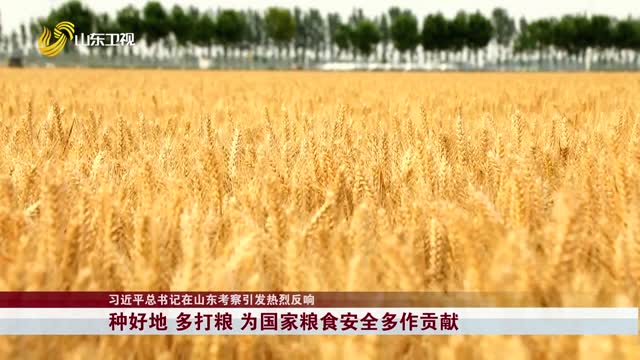 【习近平总书记在山东考察引发热烈反响】种好地 多打粮 为国家粮食安全多作贡献