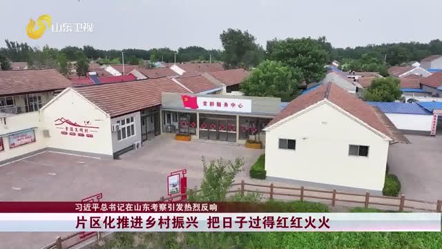 【习近平总书记在山东考察引发热烈反响】片区化推进乡村振兴 把日子过得红红火火