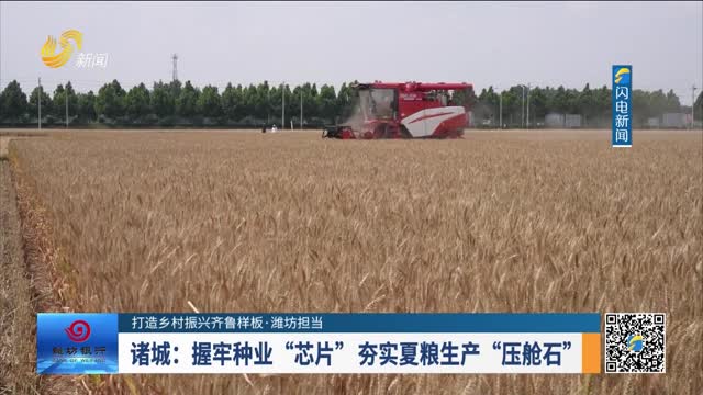 【打造乡村振兴齐鲁样板·潍坊担当】诸城：握牢种业“芯片”夯实夏粮生产“压舱石”