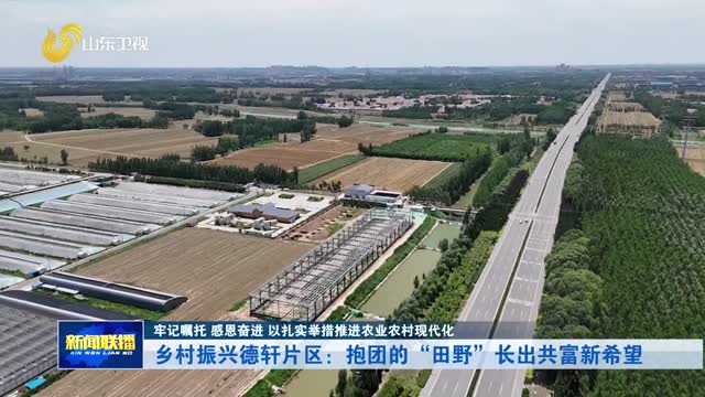乡村振兴德轩片区：抱团的“田野”长出共富新希望【牢记嘱托 感恩奋进 以扎实举措推进农业农村现代化】