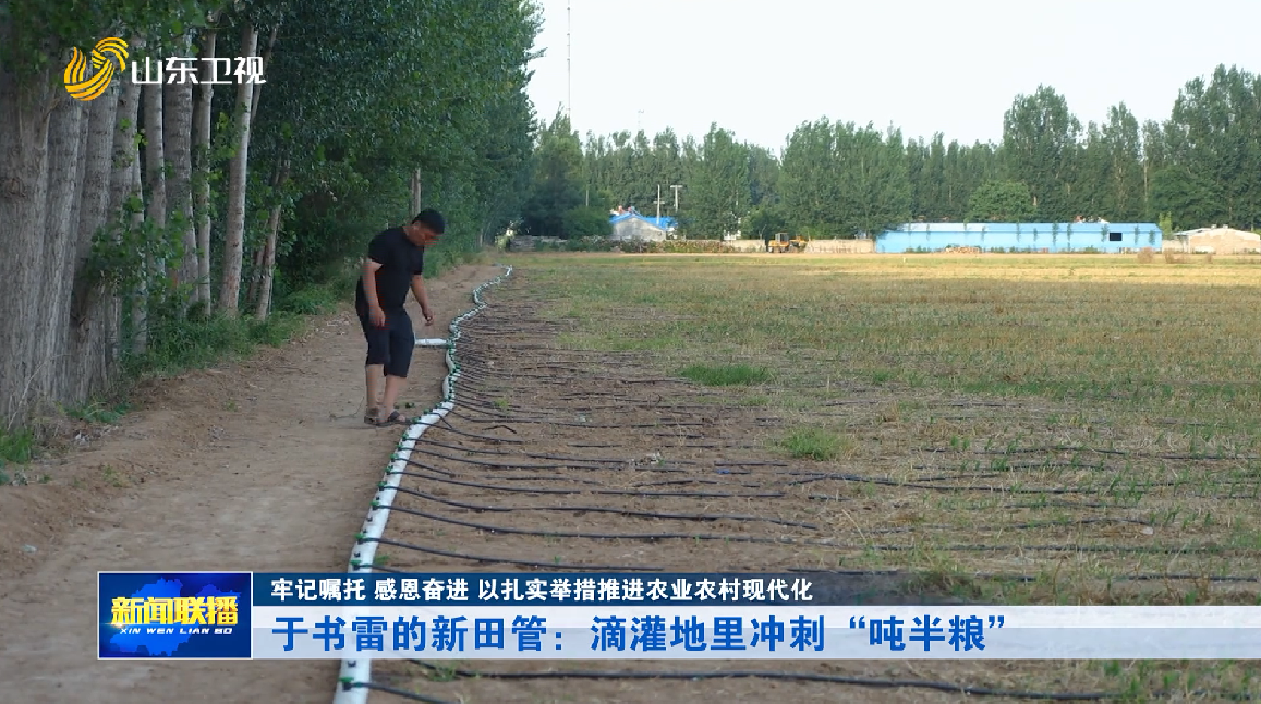 于书雷的新田管：滴灌地里冲刺“吨半粮”【牢记嘱托 感恩奋进 以扎实举措推进农业农村现代化】