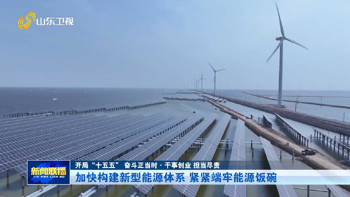 加快构建新型能源体系 紧紧端牢能源饭碗【开局“十五五” 奋斗正当时·干事创业 担当尽责】