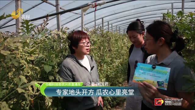 【巾帼科技助农兴农直通车】专家地头开方 瓜农心里亮堂