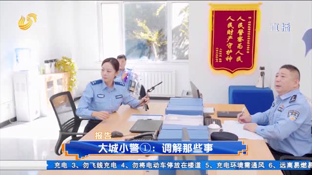 大城小警①：调解那些事