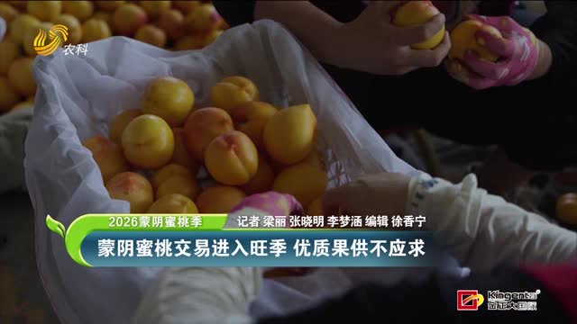 【2026蒙阴蜜桃季】蒙阴蜜桃交易进入旺季 优质果供不应求