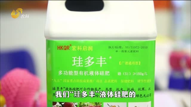 “武林风”拳手跨界做农资 打造硬核液体硅肥