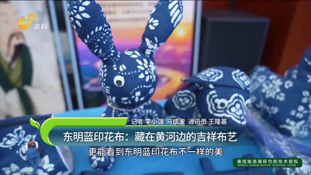 东明蓝印花布：藏在黄河边的吉祥布艺