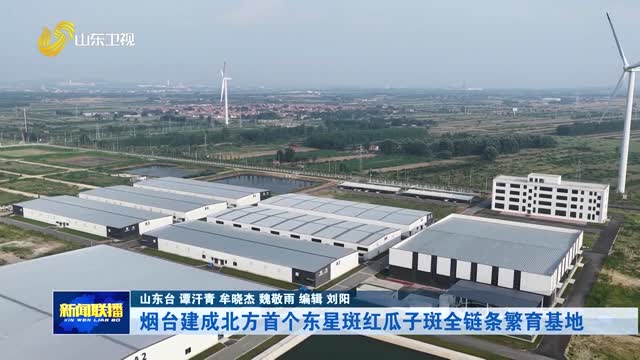 烟台建成北方首个东星斑红瓜子斑全链条繁育基地