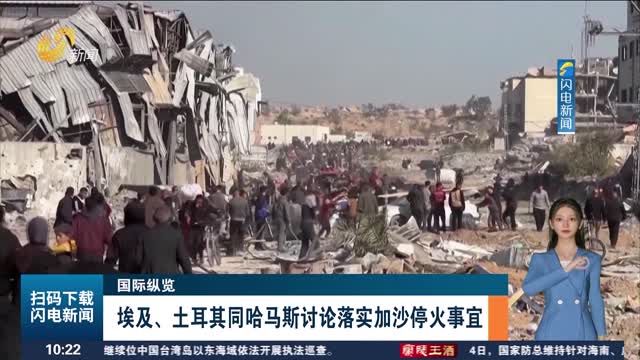 国际纵览