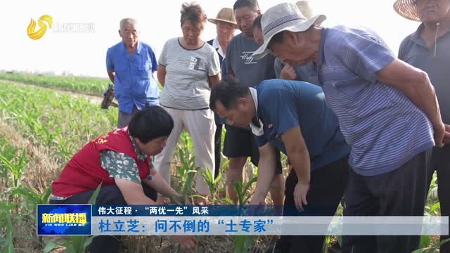 杜立芝：问不倒的“土专家”【伟大征程·“两优一先”风采】