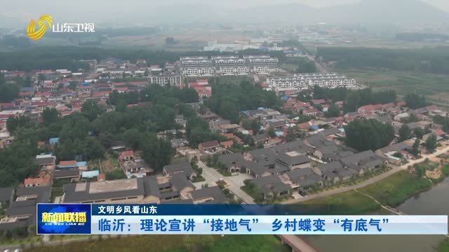 临沂：理论宣讲“接地气” 乡村蝶变“有底气”【文明乡风看山东】