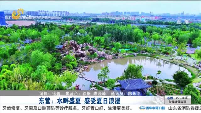东营：水畔盛夏 感受夏日浪漫