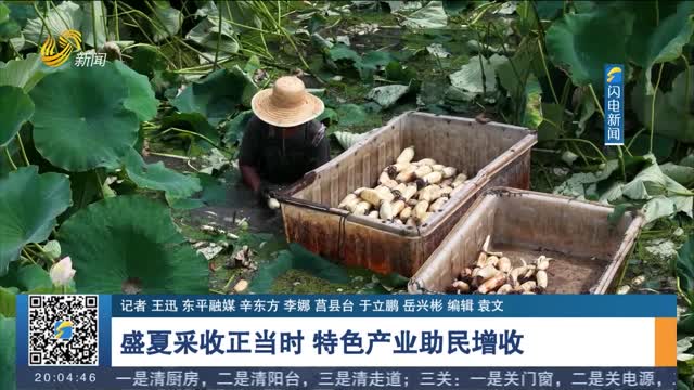 盛夏采收正当时 特色产业助民增收