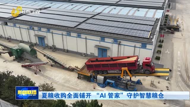 夏粮收购全面铺开 “AI 管家”守护智慧粮仓