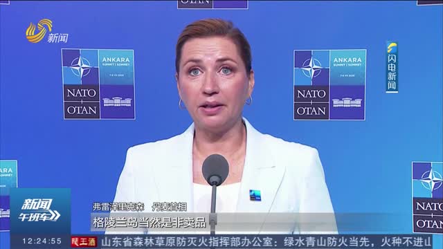 丹麦首相：“绝不出售”格陵兰岛