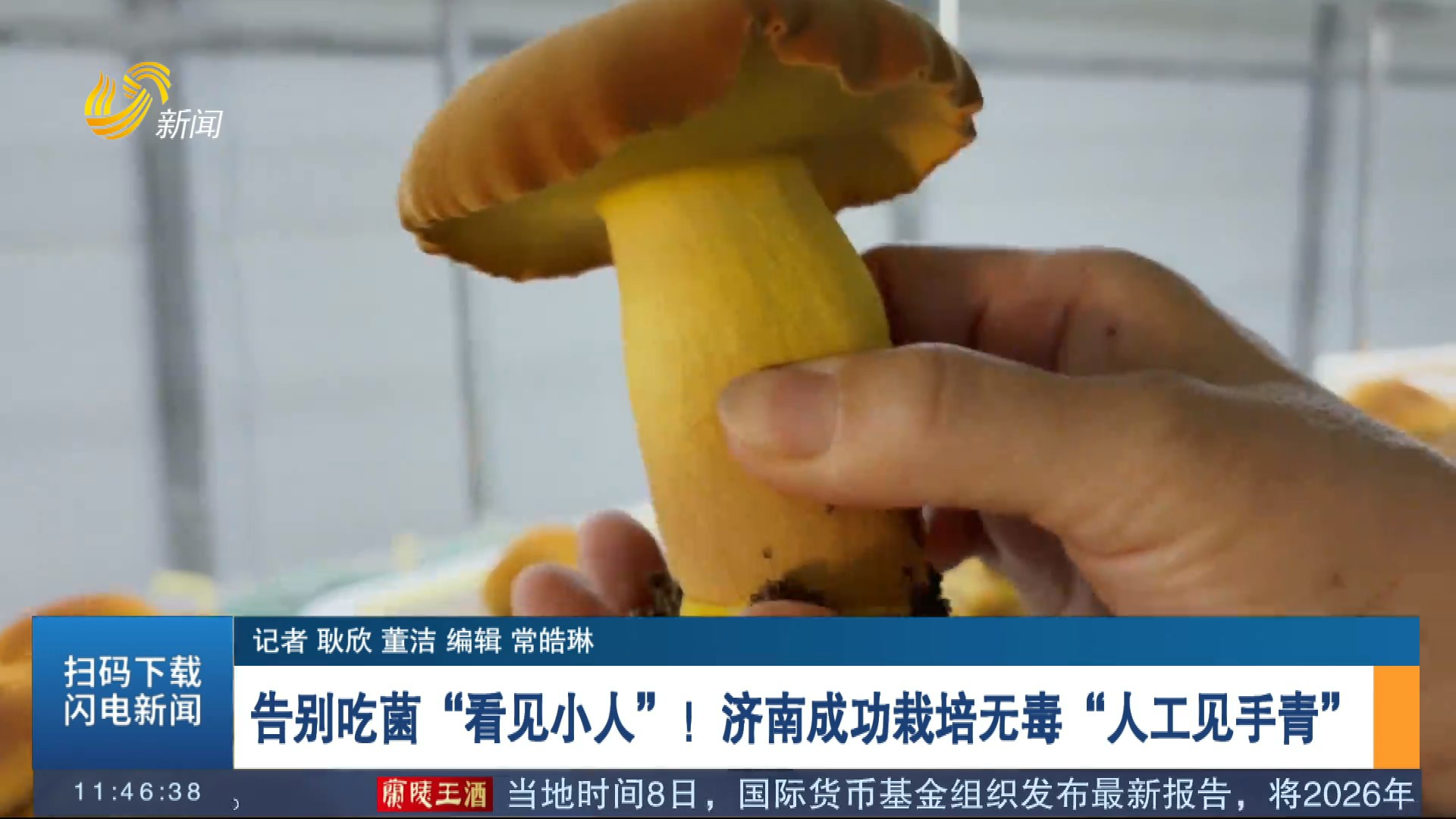 告别吃菌“看见小人”！济南成功栽培无毒“人工见手青”