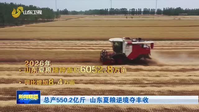 总产550.2亿斤 山东夏粮逆境夺丰收