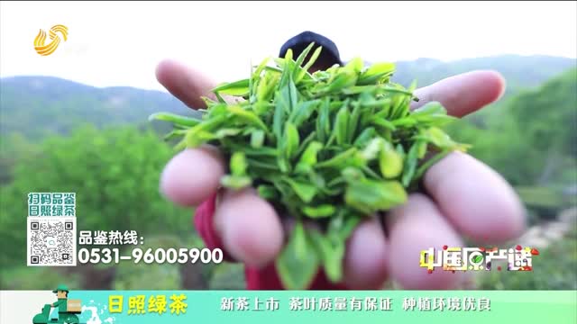 20260711《中国原产递》：日照绿茶