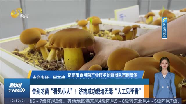 告别吃菌“看见小人”！济南成功栽培无毒“人工见手青”