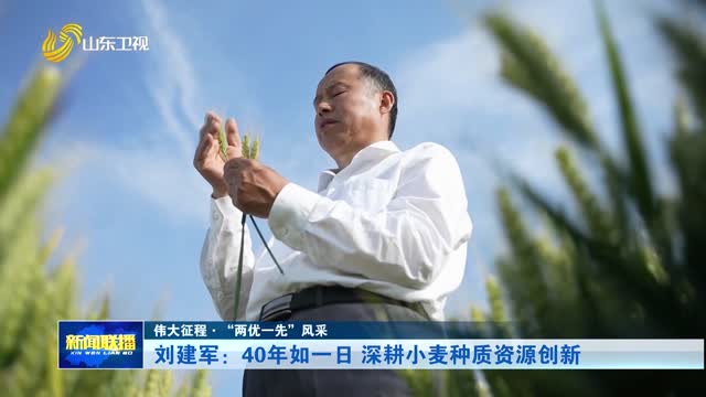 刘建军：40年如一日 深耕小麦种质资源创新【伟大征程·“两优一先”风采】